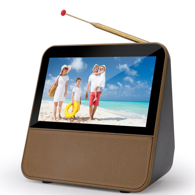 HassoKon digitaalne kaasaskantav televiisor DVB-T2, 1080P HD miniteler DAB+, DSP digitaaltelevisiooni USB-meediapleier haagissuvila, auto ja telkimise köögiteleviisori magamistuppa, reisimiseks, köögiks (kuldne)