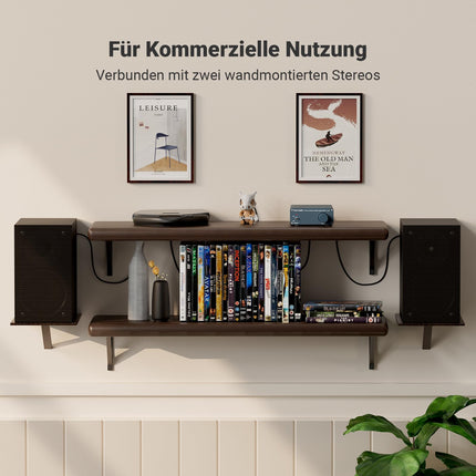 Fosi Audio V1.0G minivõimendi, 50Wx2 D-klassi stereovõimendi TPA3116 võimendikiibi ja RCA sisenditega, 2-kanaliline HiFi võimendi passiivkõlaritele