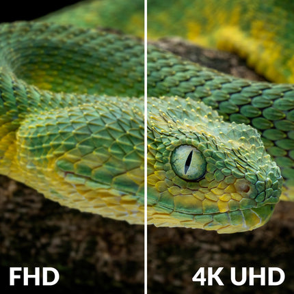 STRONG dekooder TNT UHD 4K | DVB-T2 | ühildub HEVC265-ga | USB-TV vastuvõtja/tuuner | Dolby Digital Plus | HDMI | Scart