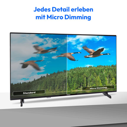 MEDION 108 cm (43 tolli) Full HD-teler (Android TV, nutiteler, HDR, Netflix, Prime Video, PVR, Bluetooth, MD 843100)