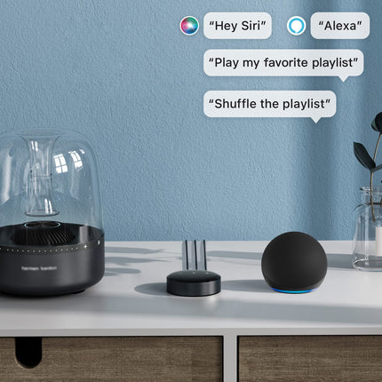 WiiM Mini AirPlay 2 Receiver, Multiroom Music Streamer, DAC &amp; Preamplifier, Compatible with Alexa and Siri Voice Assistants, Streams Spotify, Amazon Music, Tidal and more