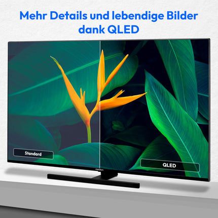 MEDION X14332 (MD 31410) 108 cm (43-tolline) QLED-teler (Fire TV, 4K nutiteler, Dolby Vision HDR, Dolby Atmos, Netflix, Prime Video)
