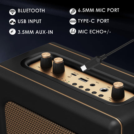 Retro Portable Boombox Bluetooth Speaker in Leather Look with Battery, 20W Compact Karaoke System with USB, Aux-IN, 6.5MM Microphone Jack, Type-C Charging