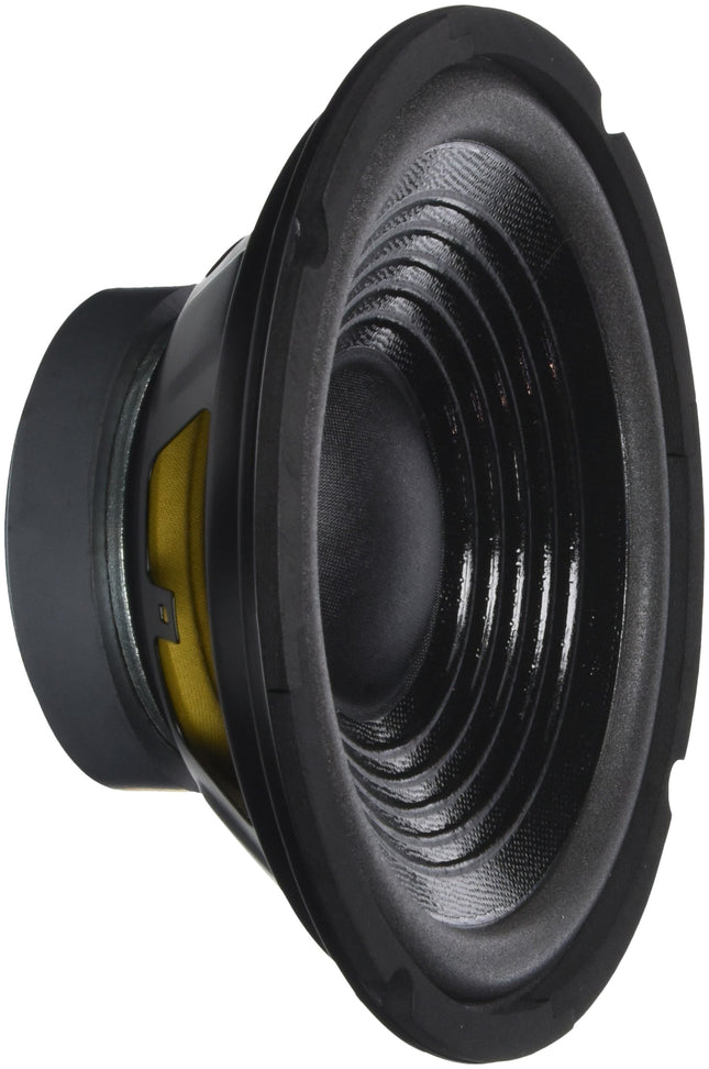 Tundmatu PA basskõlar ''TT 205-H'', 200mm, 100W, 8 Ohm, 45-9000Hz