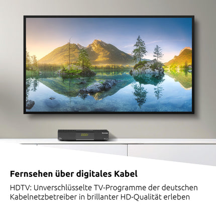 TechniSat HD-C 233 - HD-vastuvõtja digitaalse kaabeltelevisiooni jaoks (HDTV, DVB-C, HDMI, SCART, USB 2.0, RF-sisend, EPG, kaugjuhtimispult) must