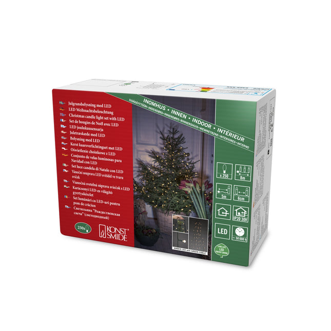Konstsmide LED-puu seelik rõngaga Ø 11, keradega, 5 kiudu 50 dioodiga, eelmonteeritud, 250 merevaigukollast dioodi, 30V sisemine trafo, roheline kaabel - 6369-820