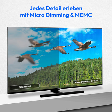 MEDION X14332 (MD 31410) 108 cm (43-tolline) QLED-teler (Fire TV, 4K nutiteler, Dolby Vision HDR, Dolby Atmos, Netflix, Prime Video)