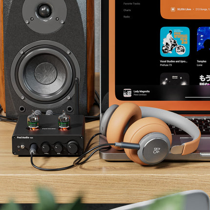 Fosi Audio T20X 200W võimendi Bluetooth 5.0 lampvõimendi kõrvaklappide võimendi stereoheli vastuvõtja 2 kanaliga D-klassi digitaalne mini-Hi-Fi integreeritud võimsusvõimendi kodustele passiivkõlaritele