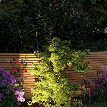 Paulmann lighting system Plug&amp;Shine LED garden spotlight LED 6 W warm white Plug&amp;Shine Sting 93934