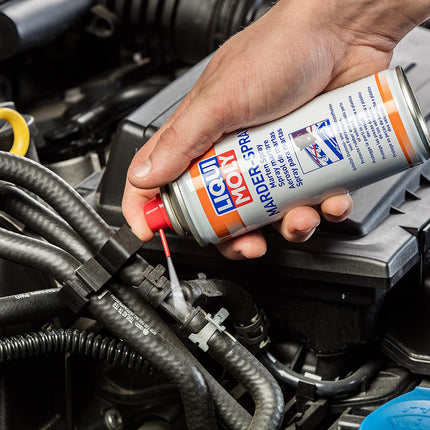 LIQUI MOLY nugisetõrjevahend | 200ml | Hooldussprei | Tootekood: 1515