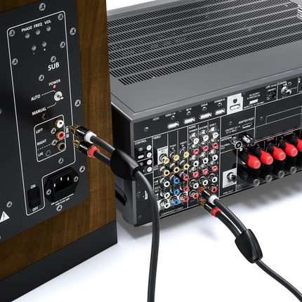 deleyCON 10m RCA kaabel - stereo audio RCA kaabel 2x isas - 2x isas HiFi süsteemile, HiFi vastuvõtjale, kodukinole, Blu-Ray mängijale - must