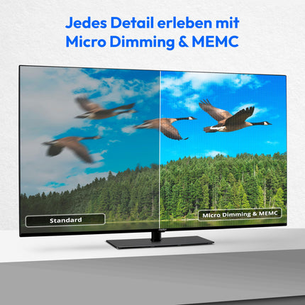 MEDION X15572 (MD 30708) 138,8 cm (55-tolline) televiisor (nutiteler, 4K Ultra HD, Dolby Vision HDR, Dolby Atmos, subwoofer, Netflix, Prime Video, MEMC, Micro Dimming, Bluetooth, PVR)