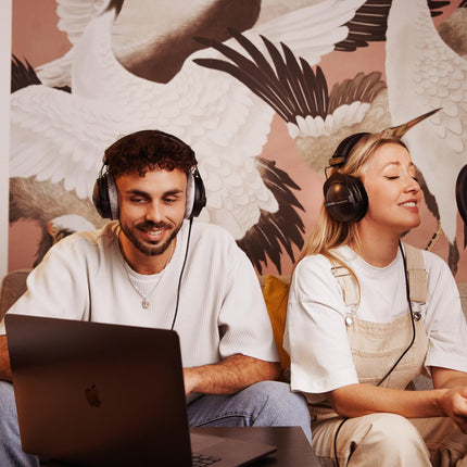 Beyerdynamic EDT 770 V kõrvapadjad, veluur, hõbehall, DT 770 PRO seeriale ja teistele mudelitele