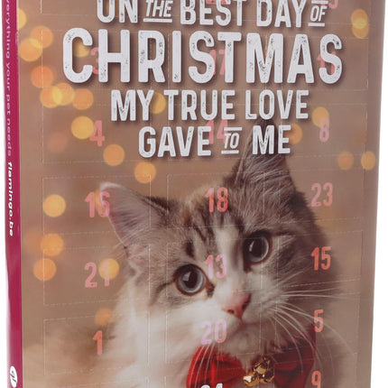 CHRISTMAS CALENDAR Chick'n Snack Cat 24ST 295G
