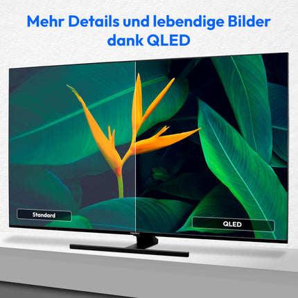 MEDION X16532 (MD 31413) 163,9 cm (65-tolline) QLED-teler (Fire TV, 4K nutiteler, Dolby Vision HDR, Dolby Atmos, Netflix, Prime Video)