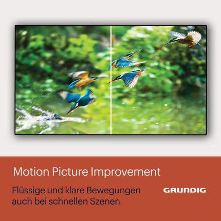 Grundig 65 GOB 9480 65-tolline (164 cm) Google TV, OLED-teler, 4K UHD, Dolby Vision IQ, Dolby Atmos, 60 W heli, Hei Google'i hääljuhtimine, nutiteler, Bluetooth, hõbedane