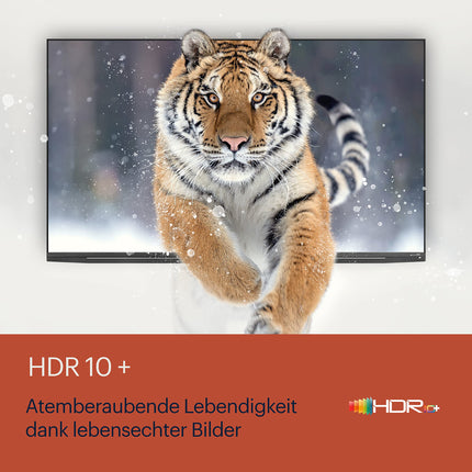 Grundig 65 GOB 9480 65-tolline (164 cm) Google TV, OLED-teler, 4K UHD, Dolby Vision IQ, Dolby Atmos, 60 W heli, Hei Google'i hääljuhtimine, nutiteler, Bluetooth, hõbedane