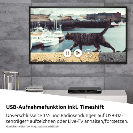 TechniSat TECHNISTAR K4 ISIO - Cable receiver with quad tuner (HDTV, HDMI, USB, DVRready, ISIO internet function, HbbTV, PiP, PaP, DVB-IP multicast, Conax CSP, remote control) black