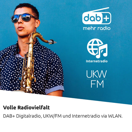 TechniSat VIOLA 710 CD IR - kompaktne hi-fi süsteem (internetiraadio, DAB+, FM, CD-mängija, Bluetooth, 2x 20-vatise RMS-stereokõlari, kõrvaklapipesa, äratuskell, unetaimer, kompaktne süsteem, kaugjuhtimispult)