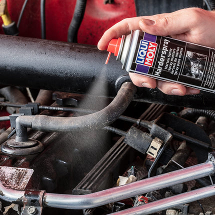 LIQUI MOLY nugisetõrjevahend | 200ml | Hooldussprei | Tootekood: 1515
