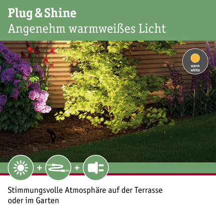 Paulmann lighting system Plug&amp;Shine LED garden spotlight LED 6 W warm white Plug&amp;Shine Sting 93934