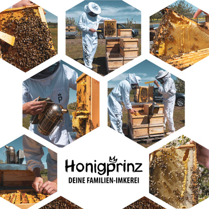 Honey Gift Set "Wooden Box with Cord" - 100% German Honey Honigprinz Family Beekeeping (1 x 250g)
