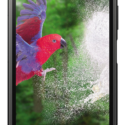 Sony Xperia XZ1 nutitelefon (13,2 cm (5,2 tolli) Triluminos ekraan, 19MP kaamera, 64 GB salvestusruum, Android) must - saksakeelne versioon