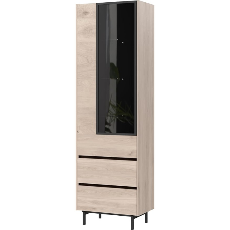 Germania 1267-627 GW-Cantoria Display Cabinet in Oak / Black with One Door and Two Drawers, Door with Glass Insert, 64 x 206 x 40 cm (W x H x D)