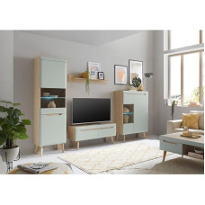 Lomadox Living Room Set in Matte Green with Oak 5-Piece Including Coffee Table, Standing Display Cabinet, TV Lowboard, Wall Shelf, Display Cabinet