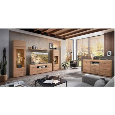 Lomadox Living Room Complete Set in Ash Partially Solid Lighting TV Wall Unit Sideboard Coch Table Soft Close Display Cabinets Assembled