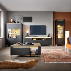 Lomadox Living Room Set 4 Pieces in Matte Black with Gold-Coloured Accents Including Lighting