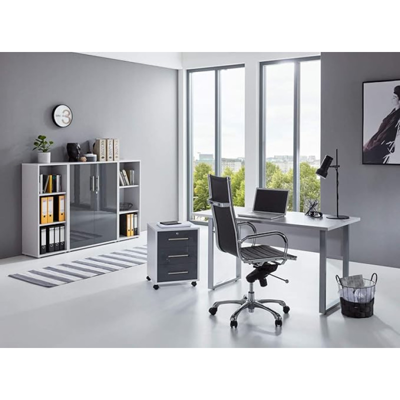 BMG-Moebel.de Office Furniture Complete Set Study Office Edition Mini in Light Grey/Anthracite High Gloss (Set 2)