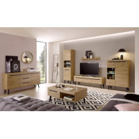 Lomadox Living Room Wall Unit Complete Set in Artisan Oak with Black, Scandinavian Design Including Lighting, 4-Piece Wall Panel, Sideboard, Coffee Table