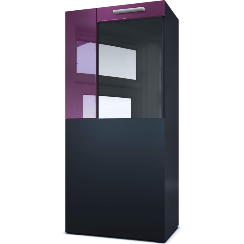 Vladon Movie Standing / Hanging Display Cabinet Matte Black / Blackberry High Gloss - Modern Glass Display Case - (W x H x D): 50.5 x 111 x 32.5 cm