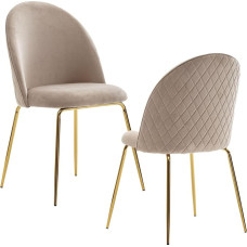 FineBuy Design Dining Room Chairs Set of 2 Velvet Padded Kitchen Chairs Fabric with Golden Legs Shell Chair Scandinavian Upholstered Chair with Velvet Cover