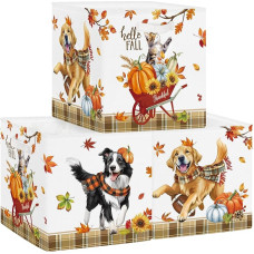 Clastyle Pack of 3 Autumn Thanksgiving Children's Storage Box Fabric for Kallax Foldable Storage Basket Small Boys Girls Cupboard Organiser Wardrobe for Shelf, Colourful Pet, 30 x 30 x 30 cm