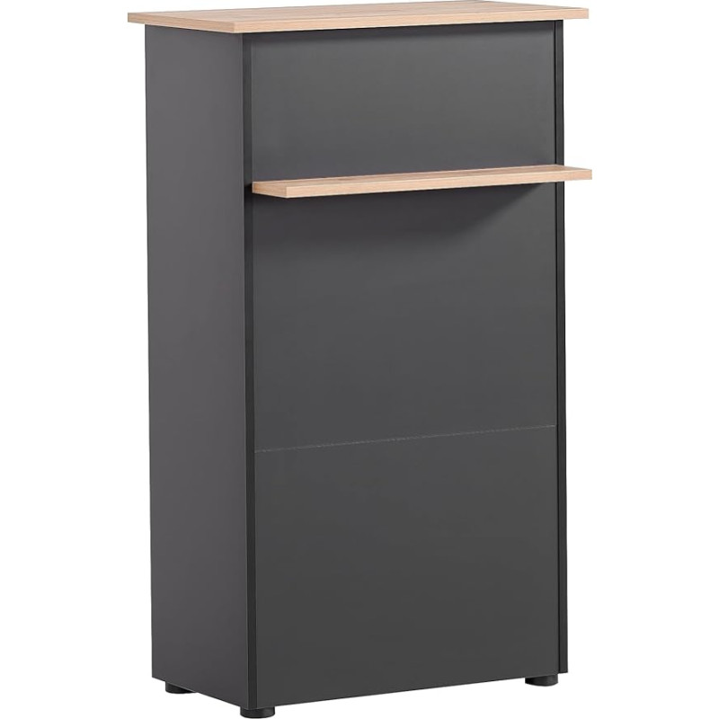 Schildmeyer Reception Counter 155642, Artisan Oak Decor/Black, 65.8 x 44 x 110.5 cm