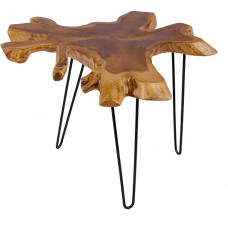 Riess Ambiente Solid Teak Side Table Wild 60 cm Tree Disc Coffee Table with Annual Rings Wooden Table Solid Wood