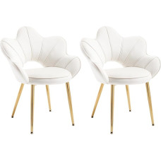 Relbiety Dining Room Chairs Set of 2 with Armrests Velvet Upholstered Chair Kitchen Chairs with Metal Feet for Kitchen Living Room Bedroom Cream White