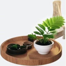Small Round Wall Mounted Folding Table - 11