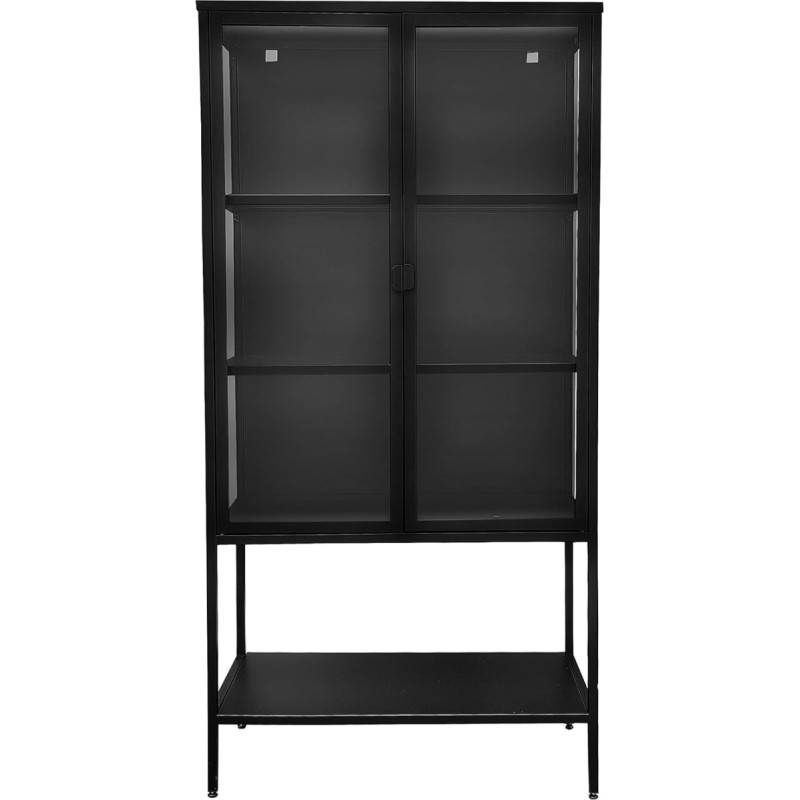 osoltus Cube Display Cabinet Sideboard Glass Cabinet Steel Black Industrial 100 cm (160 x 80 cm)