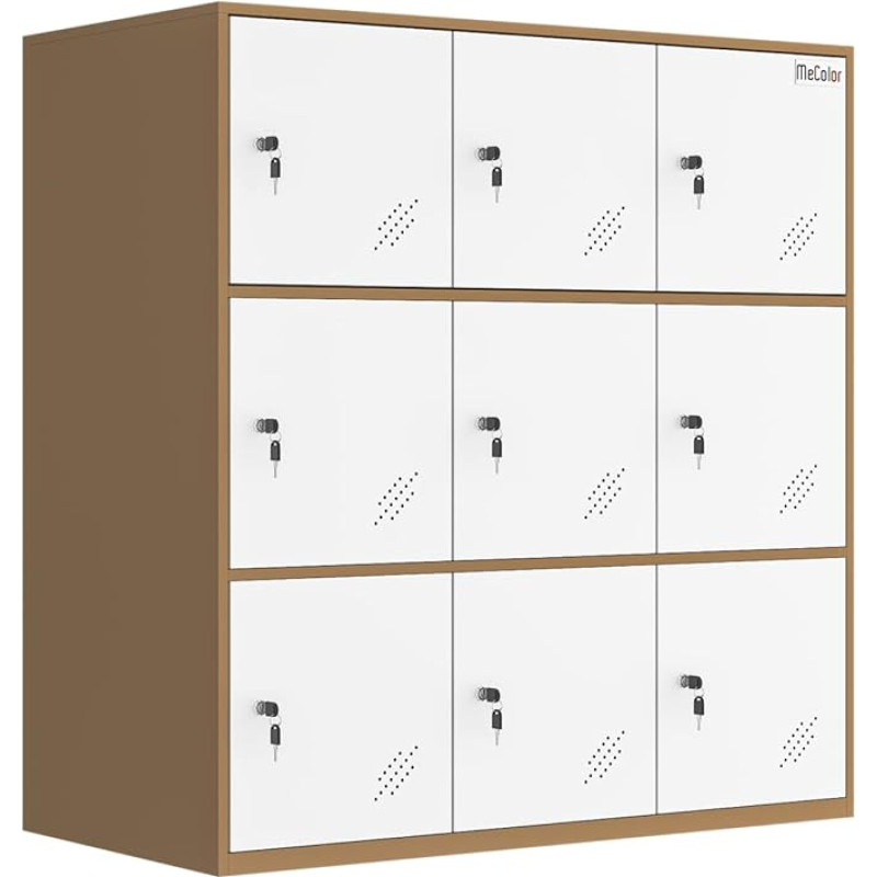 Office Steel Locker Cabinet with Keys School and Home Locker Organizer Locker for Fabric and Toys Living Room Boys and Girls Metal Storage Cabinet (9D)