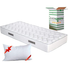 EVERGREENWEB Mattress 90 x 190 cm Made of Polyurethane Foam Waterfoam, Ergonomic, Height 20 cm + 1 Memory Foam Flakes Pillow, Breathable White Cover, Orthopaedic, Massage Effect, Fashion