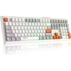 V300 108 Wired Gaming Keyboard, QWERTY RGB Keyboard with Rainbow Backlight, Illuminated Keyboard and Membrane Keys/Multimedia Keys, Ergonomic ABS Ball Caps - Grey White