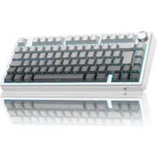 TECURS Mechanical Keyboard Gaming, 2.4 GHz/Type-C/BT5.0 Wireless Gaming Keyboard 75 Percent, Side Engraved, Gasket Structure, Wireless Keyboard, QWERTZ DE Layout