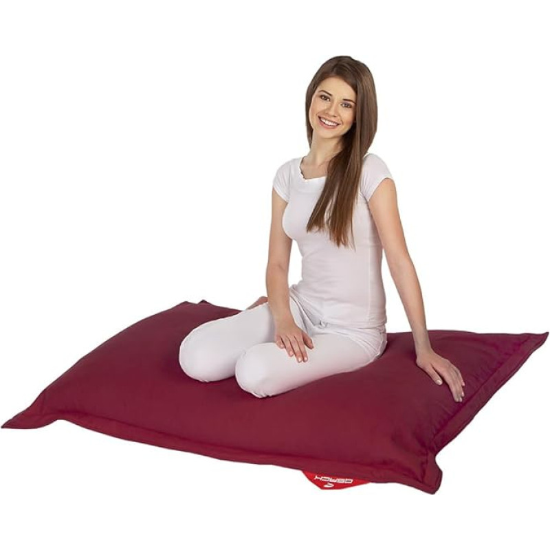 QSack Bean Seat With Beans Indy, with inner cover, tested for harmful substances EPS Toxin-Proof Micro Pearls 100 X140 cm Kids Children's Giant Pillow Beanbag Cushion for Child Teen Bean Bag, New