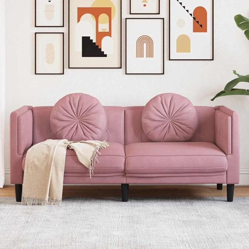 Massbinet 2-Seater Modern Couch Upholstered Sofa with Velvet Look for Living Room Bedroom Pink Velvet