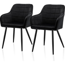 TUKAILAI Velvet Dining Room Chairs Set with Armrest and Backrest, Kitchen Chair, Upholstered Chair, Living Room Chair, Upholstered Chair, Padded Seat, Metal Legs, Armrest Chair, Armchair (Velvet x 2
