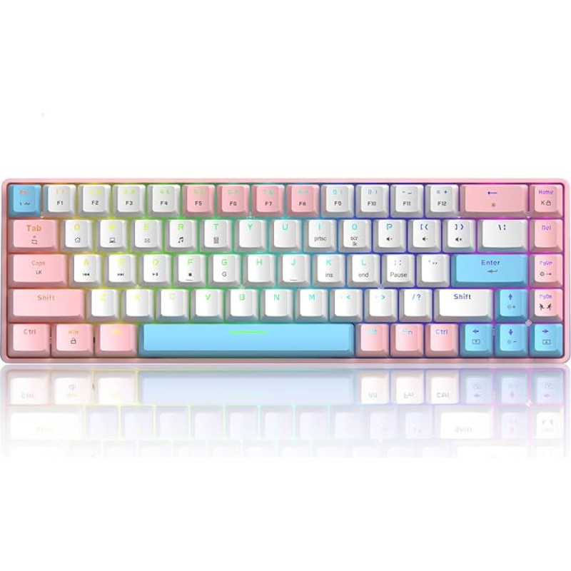 60% Mechanical Mini Keyboard, Compact 68 Keys, USB C Wired RGB Keyboard, 18 Chroma Rainbow Backlight, Portable Compatible with PS4, Xbox, PC, Laptop - Pink/Blue Switch
