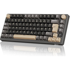 RK ROYAL KLUDGE M75 Gaming Keyboard Wireless, 75% Percent TKL Mechanical Keyboard, RGB, 2.4GHz Wireless/Bluetooth/USB-C, QWERTZ with OLED Smart Display and Button, Hot-Swappable Brown Switch, Grey